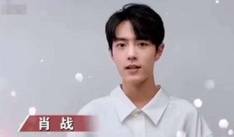 肖战最新公益爆料